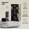 Healing Solutions (2 Pack) Health Shield Essential Oil Roll-On for