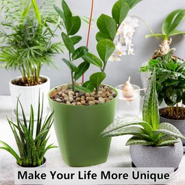 YISZM 2LB Succulent and Cactus Gravel Pebbles, 3/8 Inch Decorative Polished Stones, River Rocks for Plants, Vases, Aquariums, Terrarium and Outdoor Gardening, Natural