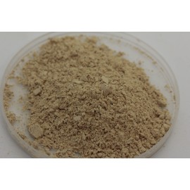 Comet (Newly Hatched Fry (Seamstress) Food for Seamstresses, 0.7 oz (20 g)