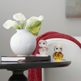 Glass Owl Figurines Glass Owl Decor Glass Owl Ornament Owl Gifts for Women Birthday Clear Owl Owl Art Transparent Owl Free Standing Owl Owl Carving Owl Sculpture Pack of 2 (2.8 inch High)