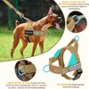 SlowTon Dog Harness Medium Large Dogs with 1.55-1.7 m Lead,