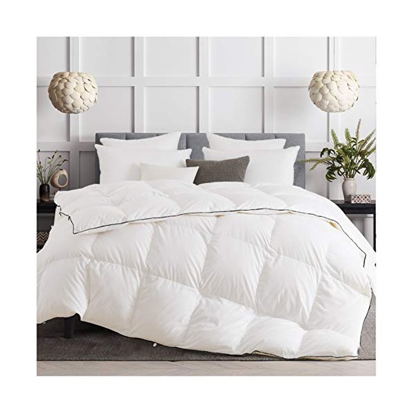 KASENTEX All Season Luxury Premium White Goose Down Comforter with