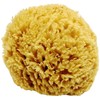 Unbleached Honeycomb Natural Sea Sponge - 100% Natural, Organic, Strong,