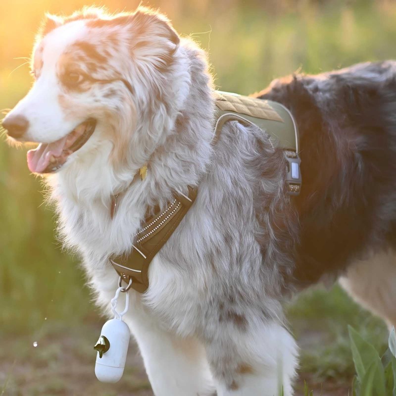 AUROTH Tactical Dog Harness for Large Dogs No Pull Adjustable
