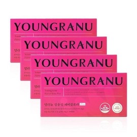Young New Enteric Coated Fabiflora PRO 440mg x 14 Capsules x 4 Boxes WYS / 영라뉴 장용성 파비플로라 PRO 440mg x 14캡슐 x 4박스 WYS