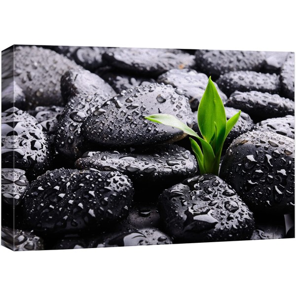 wall26 Canvas Print Wall Art Raindrops on Black Rocks with Sprouting Plant Floral Nature Photography Realism Bohemian Scenic Relax/Calm Cool for Living Room, Bedroom, Office - 24"x36"
