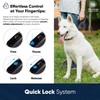 American Kennel Club Retractable Dog Leash, 16.4ft, Tangle-Free, Ergonomic Grip,