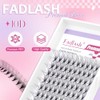 Doppelschichtige Volumen Wimpern 12mm 10D 0.07mm D Curl Vorgef√§cherte Extensions