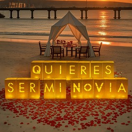 ERNTRNL Quieres Ser Mi Novia - Will You Be My Girlfriend Sign Lighted Letters in Spanish, Valentine's Day Romantic Decorations Special Night Decor with Tea Lights and Artificial Roses