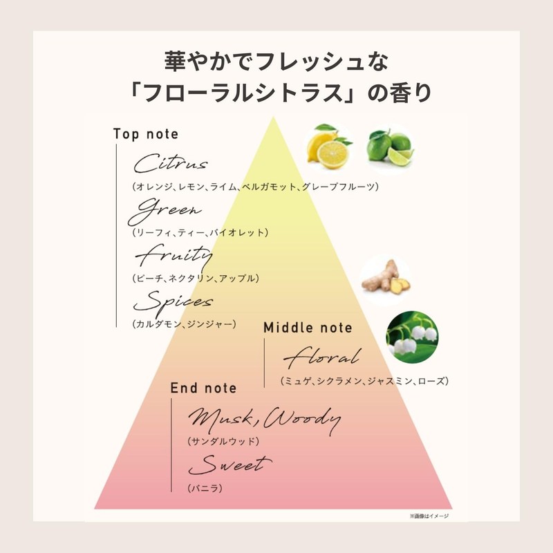 Stephen Norl Madison 58 Gram Magic Curl Oil 80ml