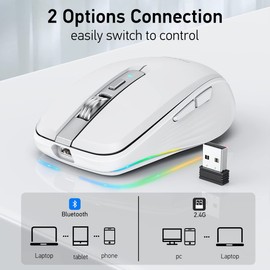 zienstar-Mouse Inalámbrico Recargable con Luz RGB,Modo Dual (2.4G USB+Bluetooth 5.1),Ajuste de Volumen-Blanco Gris