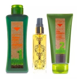 Salerm Cosmetics Cabello Tratado Biokera Salerm Shampoo + Mask + Serum Argán