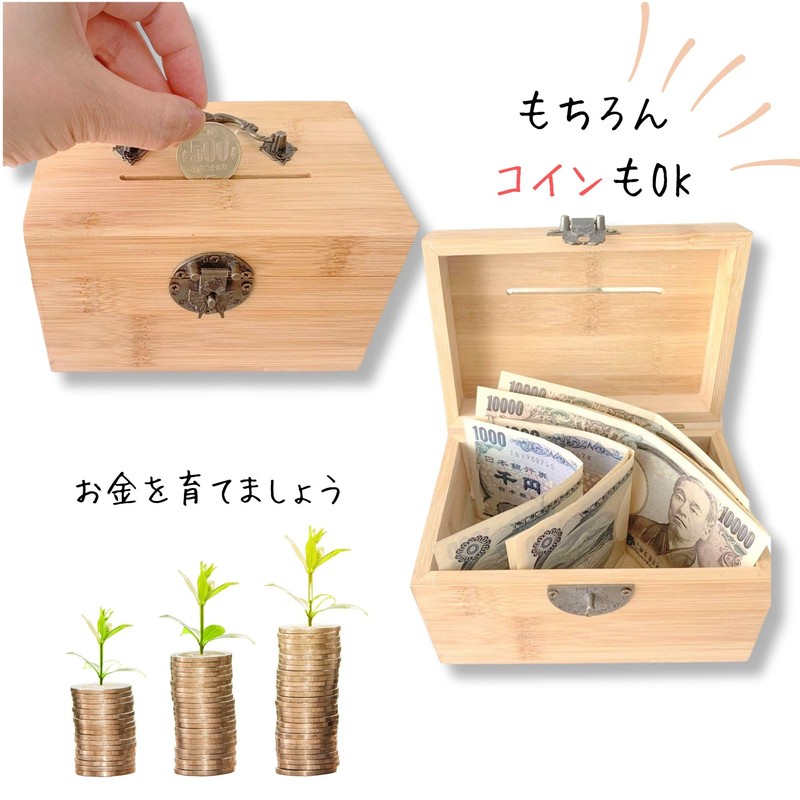 Leiasnow Money Box with Lock, Money Box, Donation Box, Can