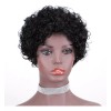 generic Pelucas De Duendecillo De Peluca Rizada Grande De Cabello