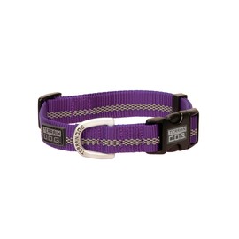 Terrain D.O.G. Reflective Snap-n-Go Collar