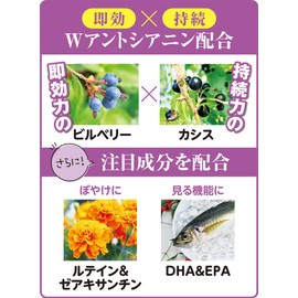 インシップ ブルーベリープレミアム 450mg×60粒 30日分