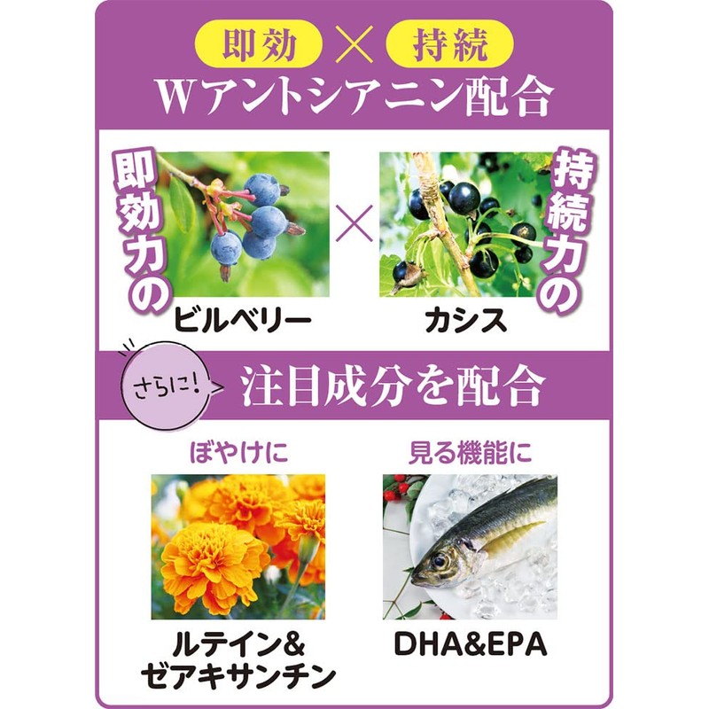 インシップ ブルーベリープレミアム 450mg×60粒 30日分