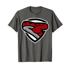 School Pride Desert Oasis Diamondbacks Unisex-Kids V-Neck T-Shirt Grey Small Football T-Shirt