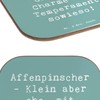 Mr. & Mrs. Panda Glasuntersetzer Spruch Affenpinscher Charme - Geschenk,