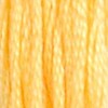 117-19 DMC 25 Thread Count
