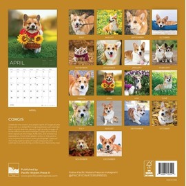 July 2025- December 2026 Wall Calendar 18 Month | 12" x 24" Open | Giftable Dog Calendar 2026 | Thick & Sturdy Paper for Organizing & Planning | Pacific Waters Press (Corgi)