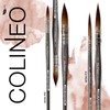 COLINEO 412 Series Extra Long Tied Brush TAM 0