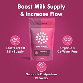 Oat Mama Lactation Tea for Breastfeeding Moms - Blueberry Pomegranate | Breastfeeding Essentials for Milk Supply Increase | Organic Lactation Support & Postpartum Recovery