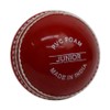 Gray Nicolls Cricket Ball Wonderball RED Junior