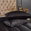 Bedding_Dreamer Silk Like Black Comforter Satin Comforter Set Queen Silky
