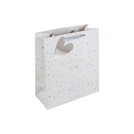 Eurowrap Welcome To The World Baby Gift Bag With Gift Tag - Gift Bag for New Baby, Baby Shower, Newborn - Baby Gift Wrap Occasion Present - Medium Size