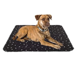 Washable Pee Pads for Dogs - 2-Pack 36” x 48” Reusable Puppy Pads for Dog Potty Training, Whelping, or Crate - Grooming Glove Included - Ultra-Absorbent and Leak-Resistant Dog Pads by PETMAKER (Black)