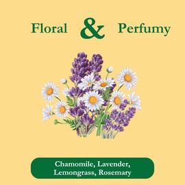 Tadin Organic Chamomile Lavender Tea, Caffeine Free Herbal Tea to Promote Serenity, 20 Tea Bags Per Box, Pack of 6