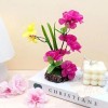 Home And Kitchen Product Mini Set 1in for daily use