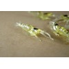 10 Pcs 4cm Simulation Fake Bait Grass Shrimp Lures Soft