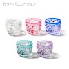 Taimuro Kobo TB5100-30 Crystal Edo Kiriko Guinomi (Transparent) Crystal Edo