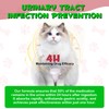 Feline Urinary Tract Health, Cat uti Remedy, Natural Herbal Supplement