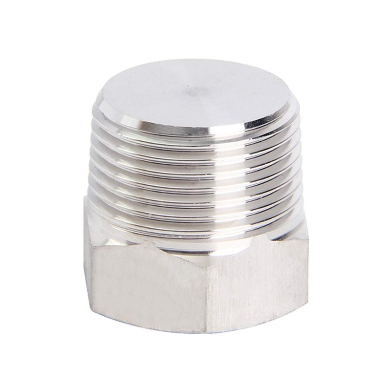 Joywayus 4Pcs Stainless Steel Outer Hex Thread Socket Pipe Plug