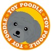 Staring Toy Poodle Silver Dog Sticker Orange Back Round Size