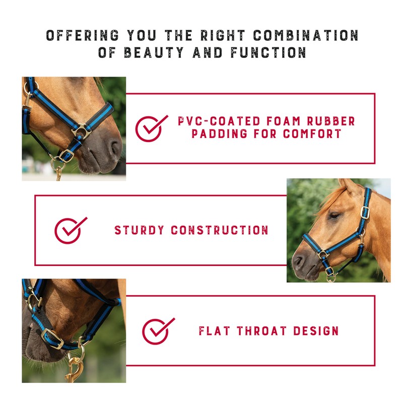 Weaver Leather Basic Adjustable Nylon Halter, Black, 1" Large Horse