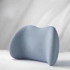 Memory Foam Car Lumbar & Neck Support Pillow Set for
