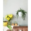 ABETREE Hanging Planter Indoor Modern Boho Plant Pot Metal Wall