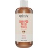 CELESTY Shampoo sin Sulfatos y Parabenos - Shampoo De Trigo