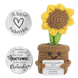 Zernblend Positive Sunflowers Flower Pot Plush and Encouragement Lucky Charm Coin, Get Well Soon Gifts, Get Soon, Sunflower, Positive Gifts
