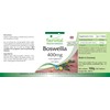 Fairvital Frankincense Tablets - Boswellia Serrata Extract 400 mg -
