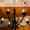 DIAMIAQ B11 LED Light Bulb Candelabra Light Bulbs Candle Bulbs