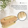 Hydréa London Premium & Stylish Dual sided Nail Brush with