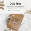 Grab Green Stoneworks Natural Laundry Detergent Powder Pods, Oak Tree,
