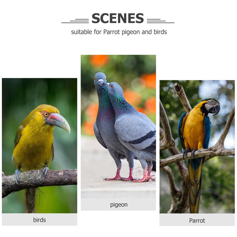 POPETPOP Bird Anti-bite Collar: Bird Protective Collar Parrot Protective Collar