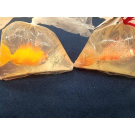 Taymor Set of 2 Decorative Goldfish Soap in Bag Taymor Soaps