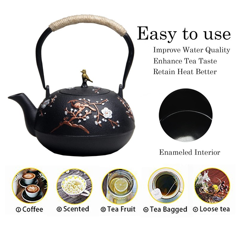 Cast Iron Teapot SECHUDO Teapot for Stovetop Safe Coated with